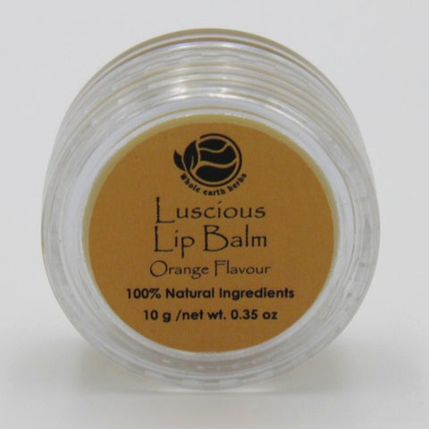 House of Nepal Luscious Lip Balm in Orange Flavour, 10g. Natural ingredients, apricot kernel oil, grapeseed oil, beeswax.